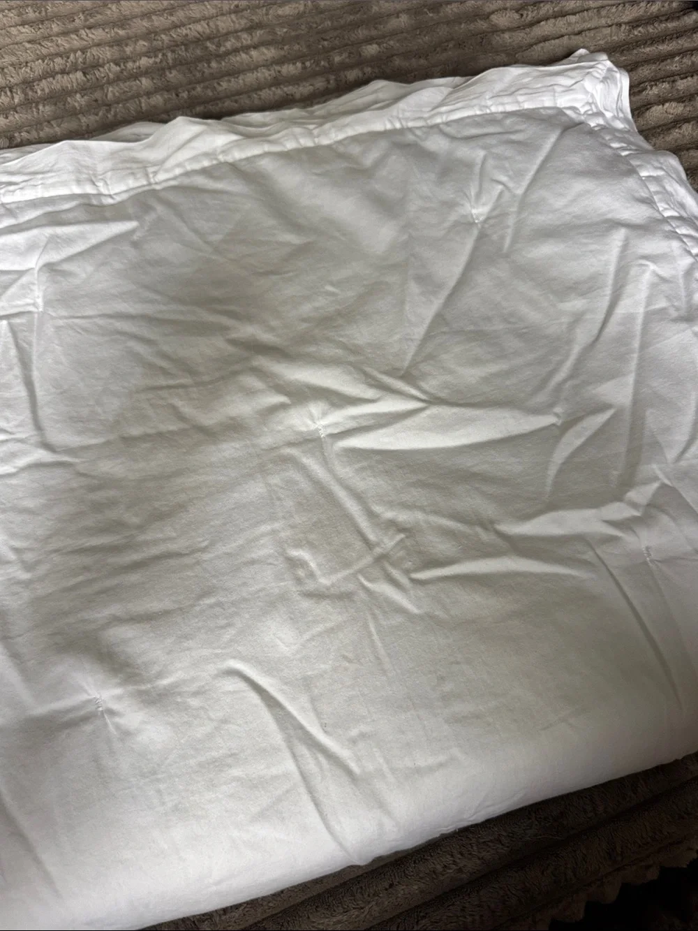 Cozy Earth White 100% Cotton Sham SET